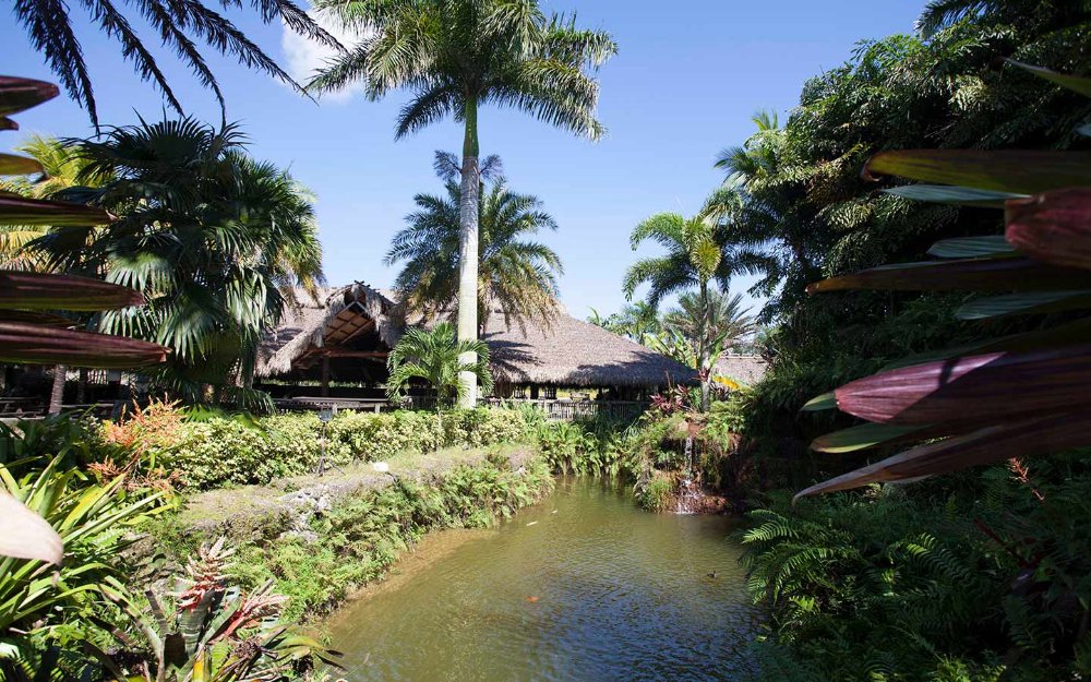 Hidden Gems in Miami 2026: 15 Secret Tourist Attractions Locals Don't Want You to Know About