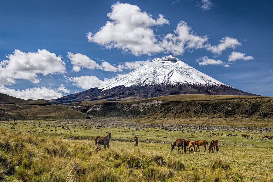 Cotopaxi National Park Ecuador