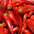 paprika