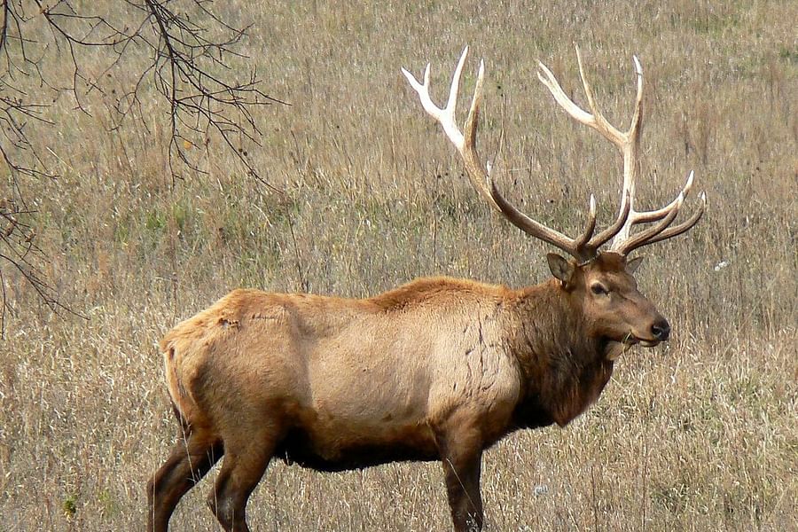 Charles M Russell National Wildlife Refuge