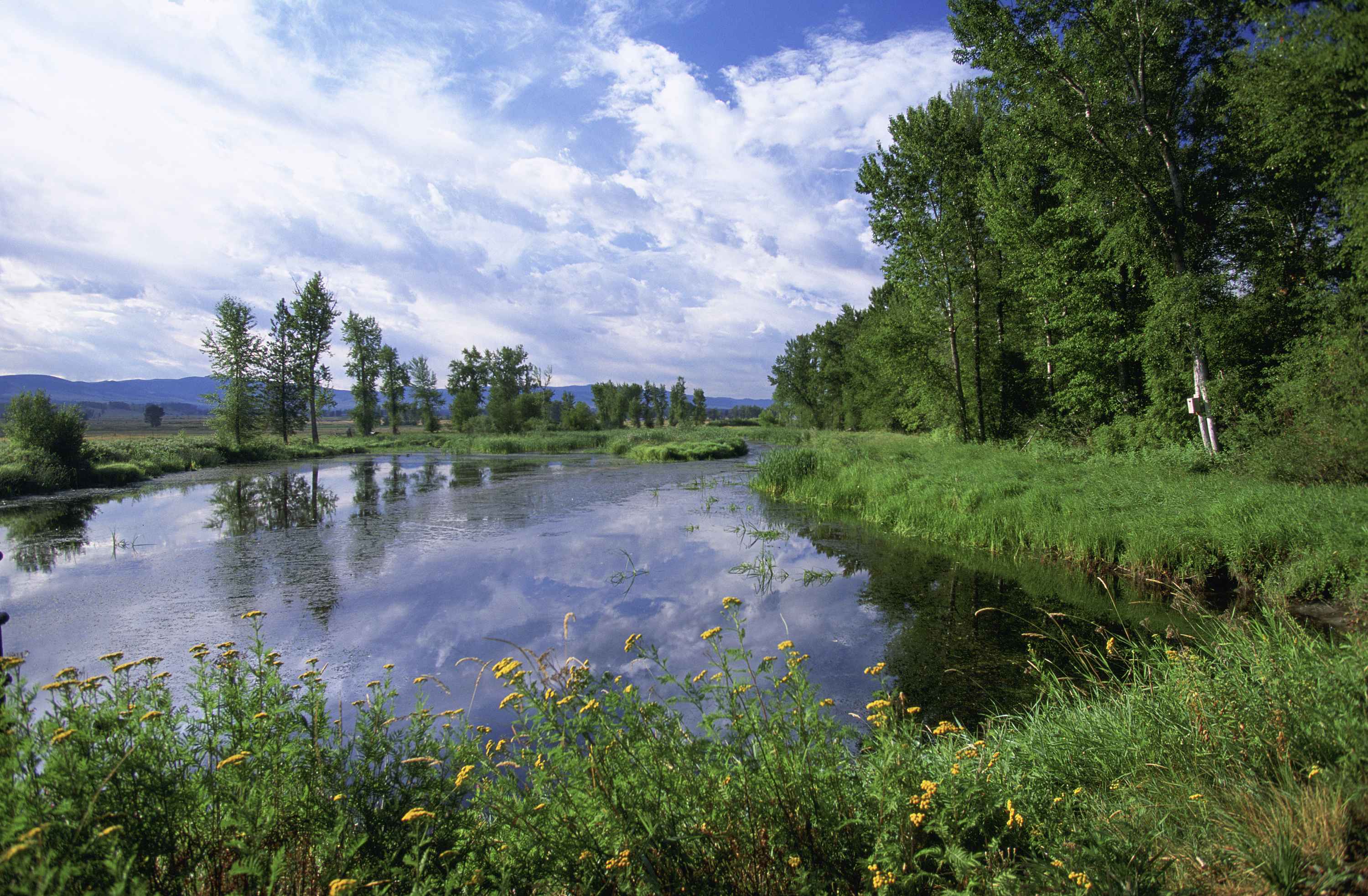 Lee Metcalf National Wildlife Refuge birds