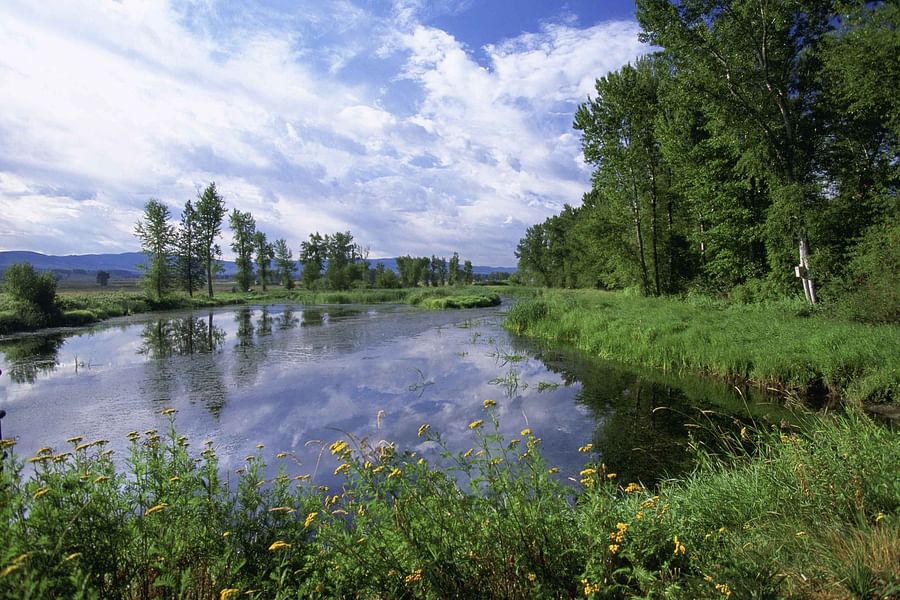 Lee Metcalf National Wildlife Refuge birds