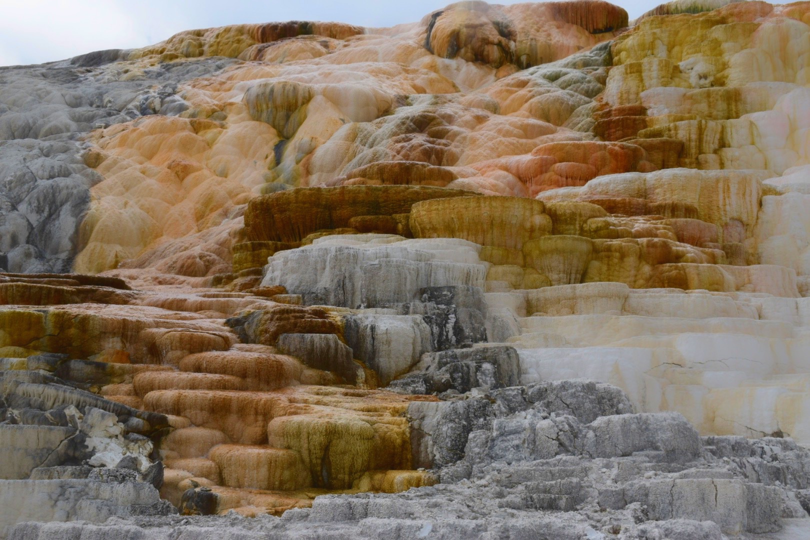 Mammoth Hot Springs terraces