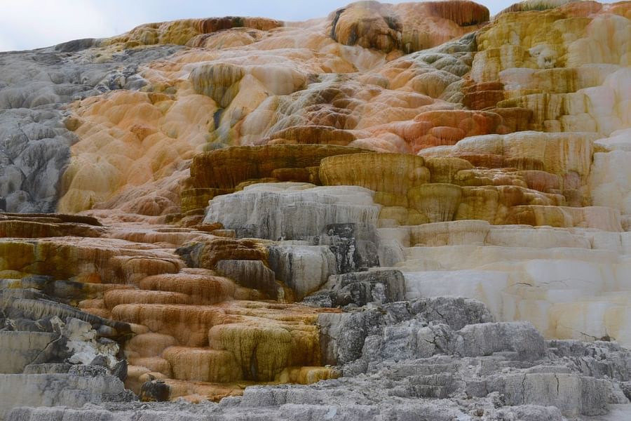 Mammoth Hot Springs terraces