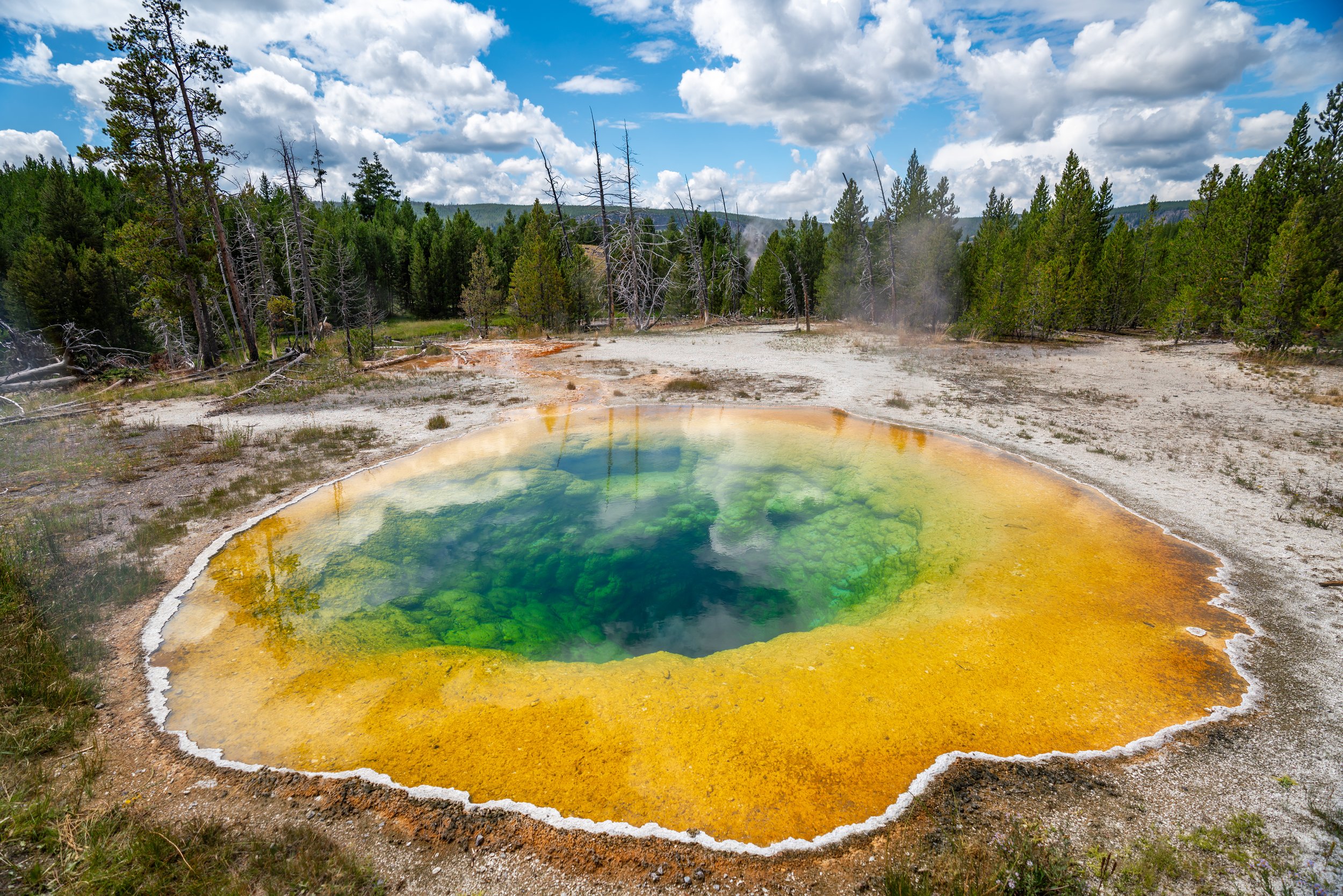 Morning Glory Pool Yellowstone