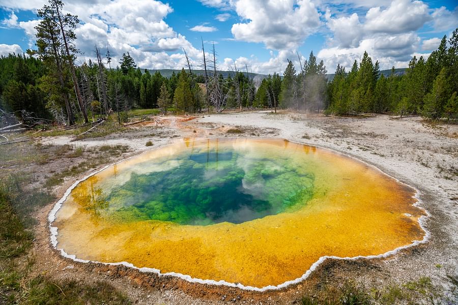 Morning Glory Pool Yellowstone