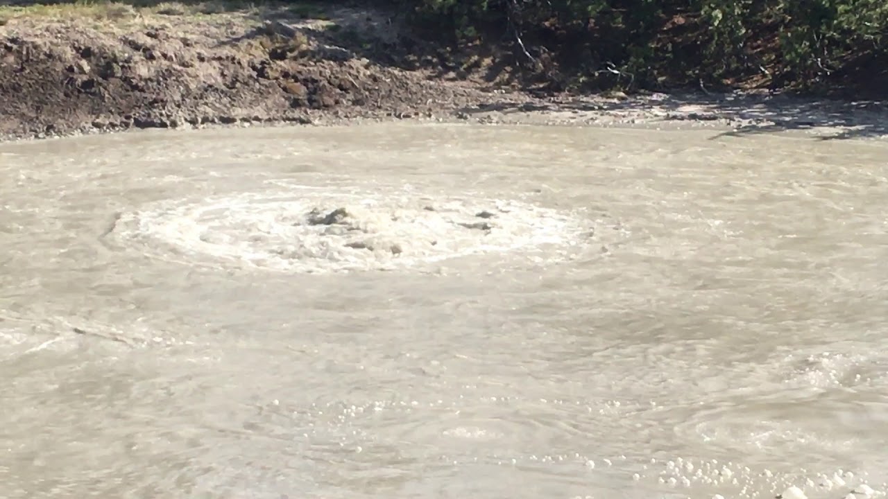 Mud Volcano Area Yellowstone