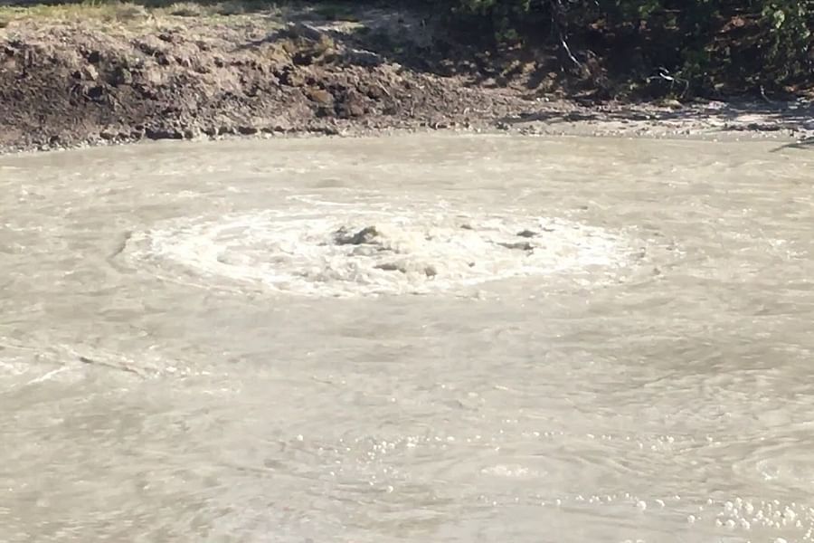 Mud Volcano Area Yellowstone