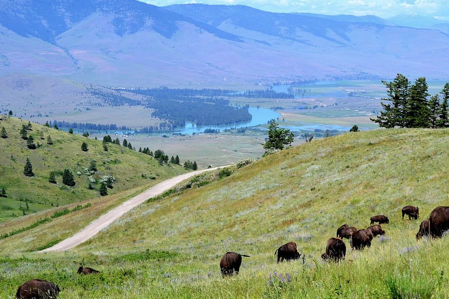 National Bison Range Montana
