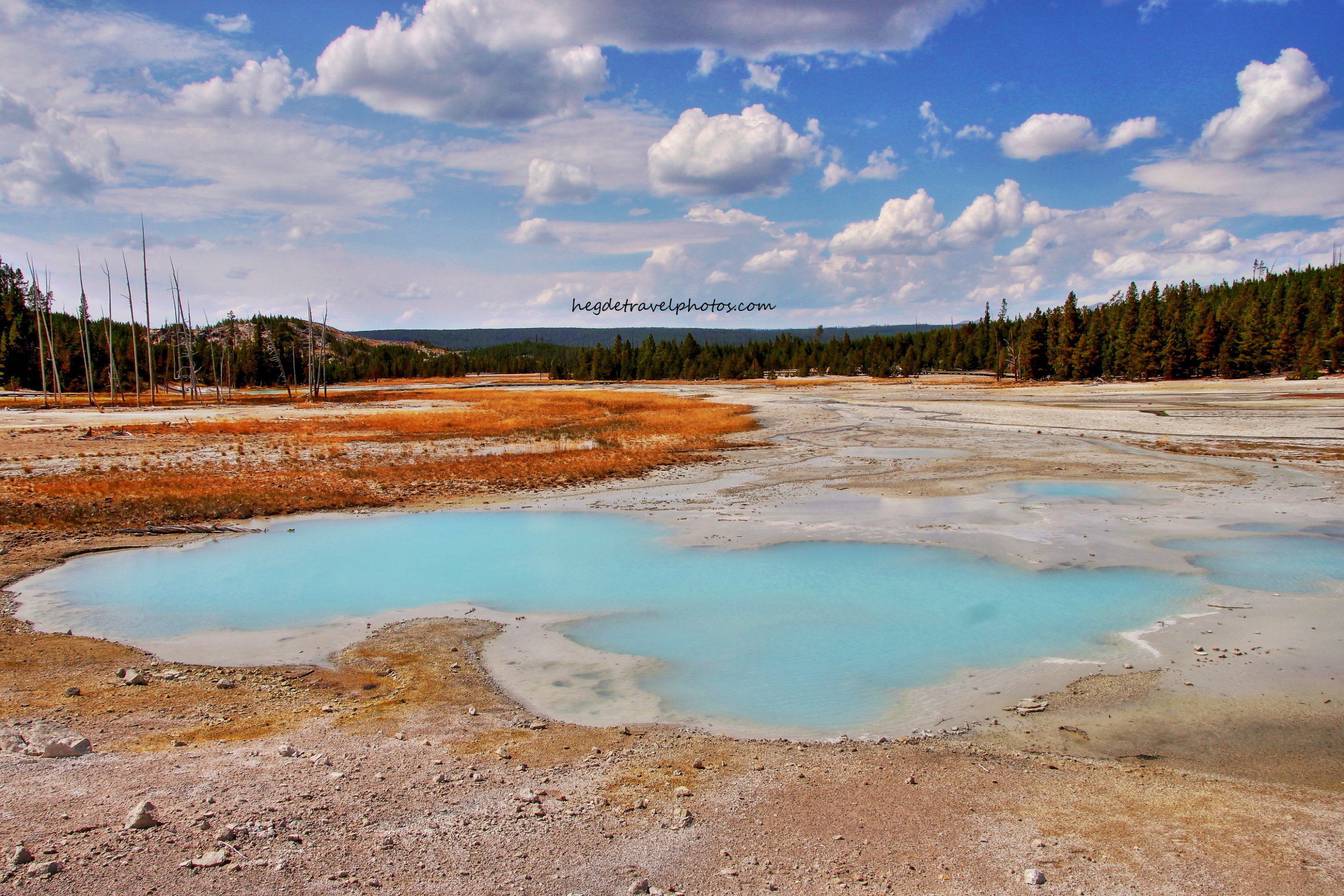 Norris Geyser Basin boardwalk