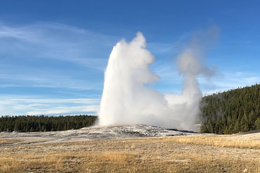 Old Faithful geyser eruption