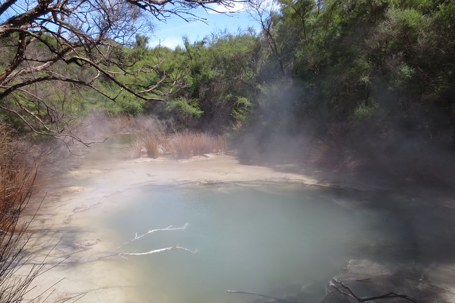hydrogen sulfide thermal spring