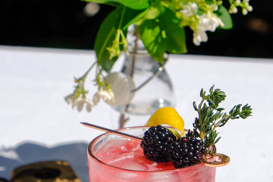 Blackberry Bramble cocktail