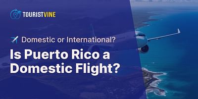 Is Puerto Rico a Domestic Flight? - ✈️ Domestic or International?