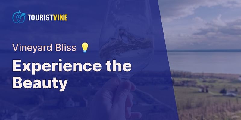 Experience the Beauty - Vineyard Bliss 💡