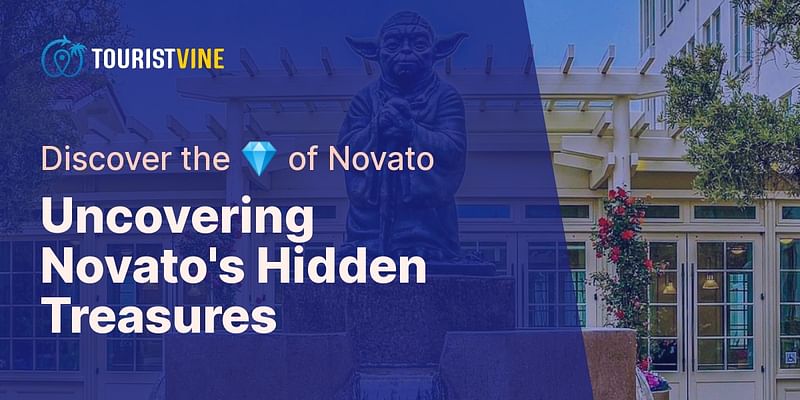 Uncovering Novato's Hidden Treasures - Discover the 💎 of Novato