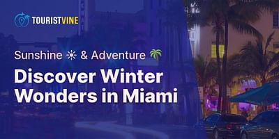 Discover Winter Wonders in Miami - Sunshine ☀️ & Adventure 🌴