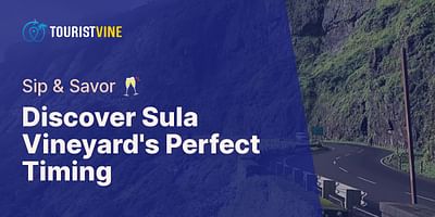 Discover Sula Vineyard's Perfect Timing - Sip & Savor 🥂