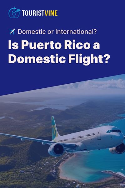 Is Puerto Rico a Domestic Flight? - ✈️ Domestic or International?