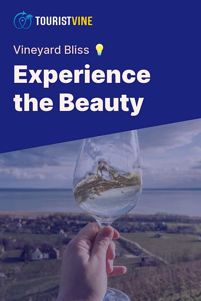 Experience the Beauty - Vineyard Bliss 💡