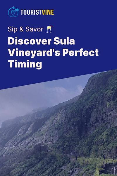 Discover Sula Vineyard's Perfect Timing - Sip & Savor 🥂